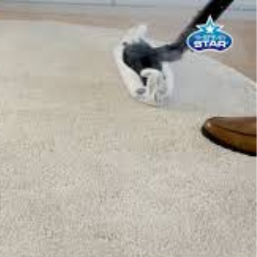 Thermostar Application For Carpet Cleaning